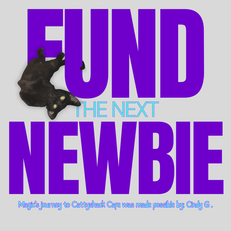 FTNN Donor Graphic(18).png