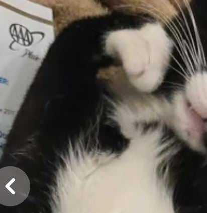 edgar.JPG