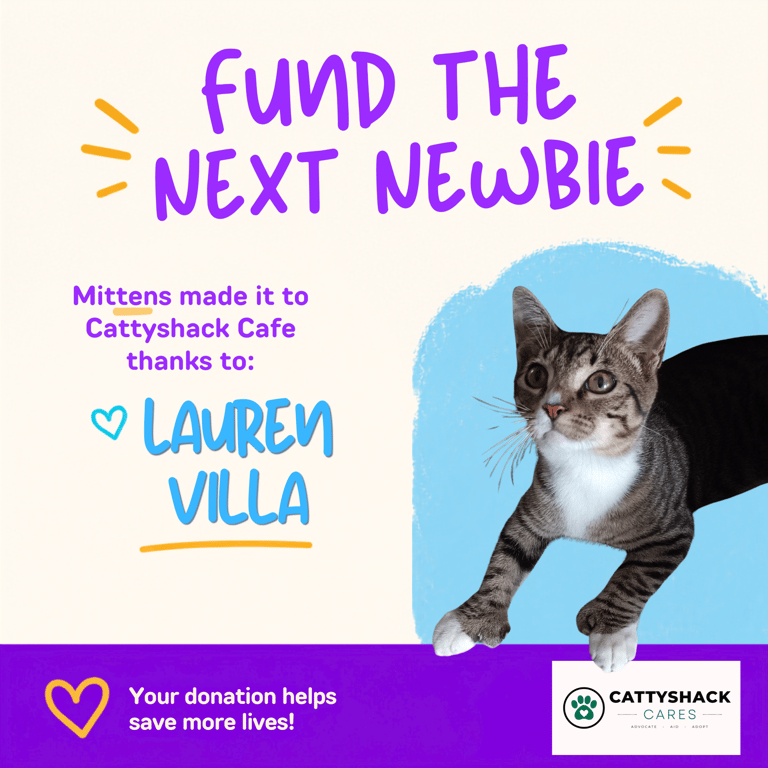 FTNN Donor Graphic (7).png