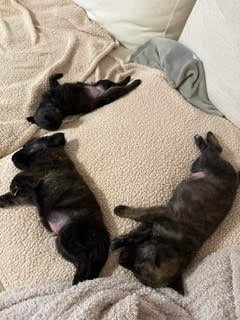 Burrito 7.jpg
