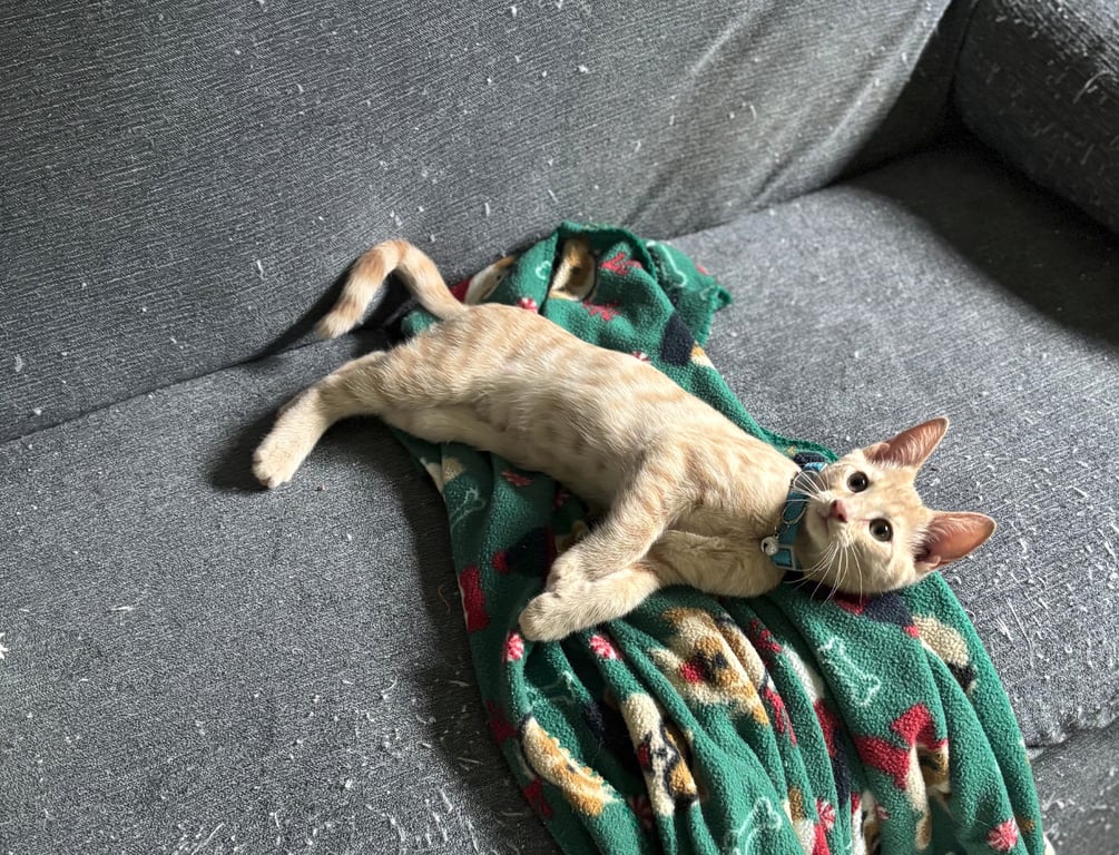 Jasper Pic.jpeg