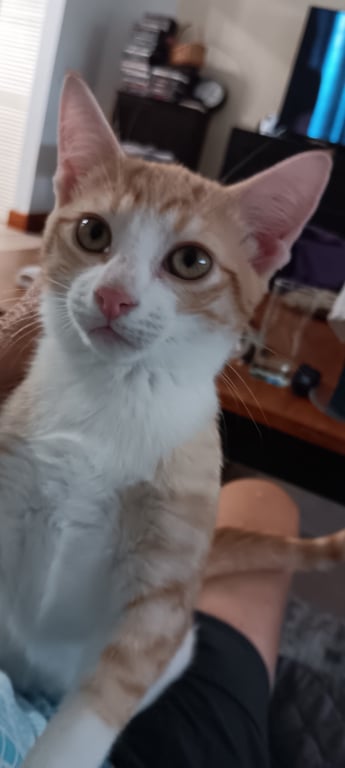 Gabriel Pic3.jpeg