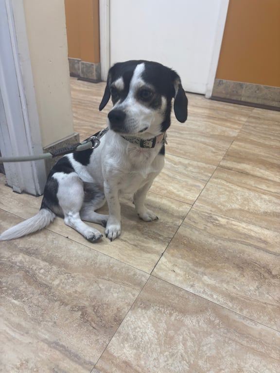 IMG_3679.jpeg