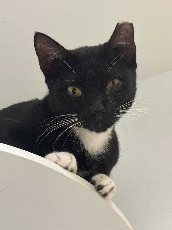 IMG_7975.jpeg