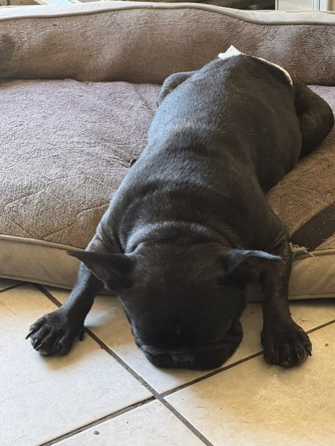 stitch2.jpg