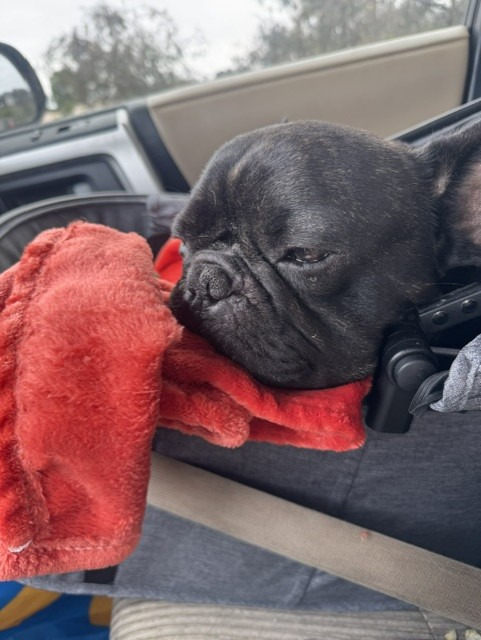 stitch3.jpg