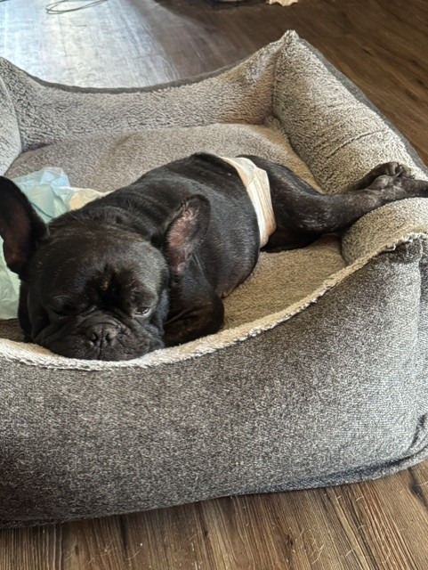 stitch1.jpg