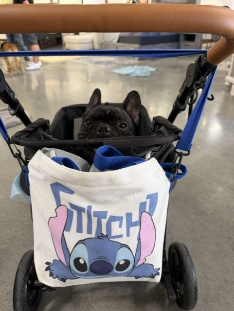 stitch8.jpg