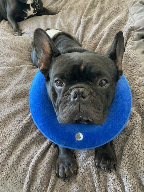 stitch5.jpg