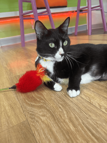 IMG_6171.png