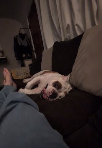 beau1.jpg