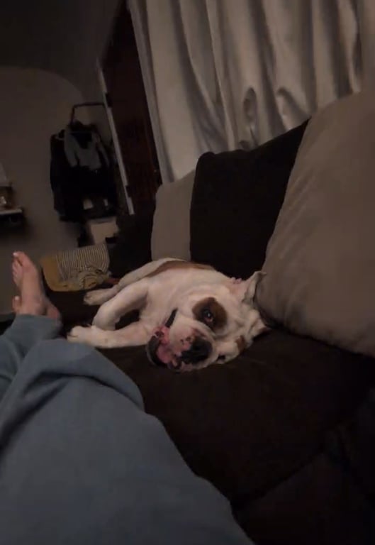 beau1.jpg