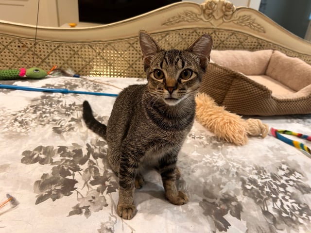 Pablo Pic.jpeg