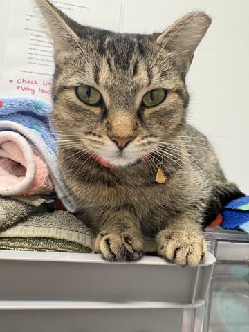 IMG_9460.jpg