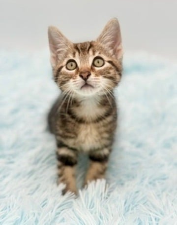 E3C3B627-6CF4-4062-B137-D9B53B833D1A_4_5005_c.jpeg
