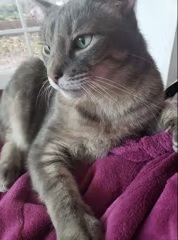 jasper.png