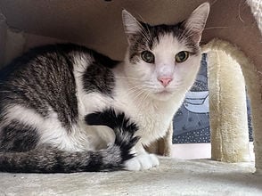 matty.jpg