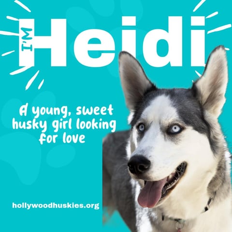 Heidi1.jpeg