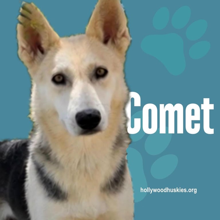 comet1.jpeg