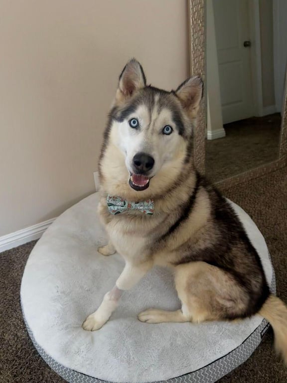 buddy2.jpg
