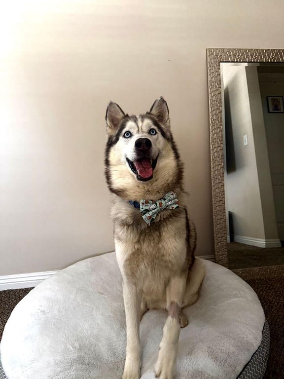 buddy3.jpg