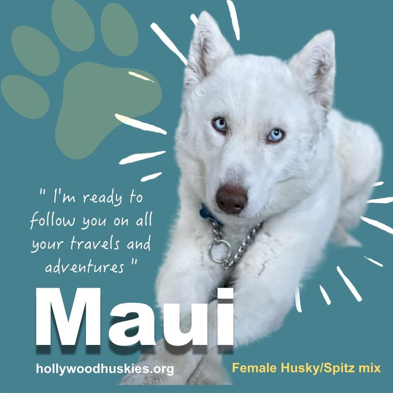 maui1.jpeg