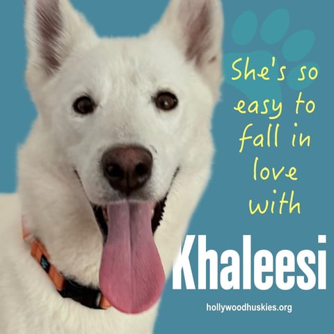 khaleesi1.jpeg